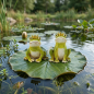 Preview: Entzückendes 2er Set Froschkönig - Höhe ca. 9,5 cm